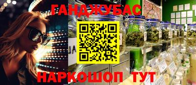 стаф Сланцы