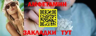 стаф Сланцы