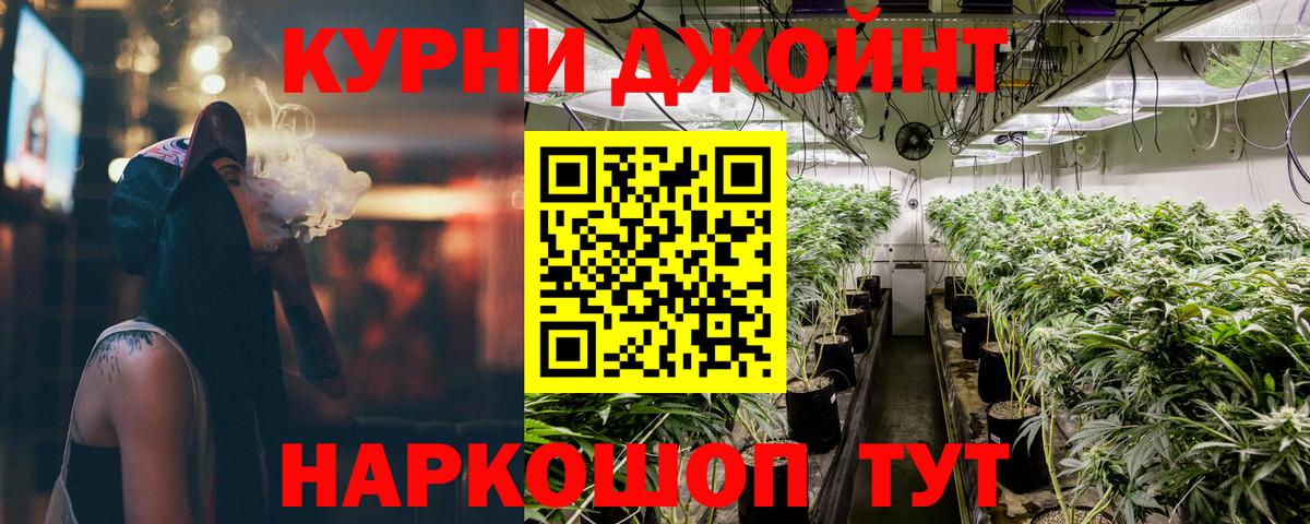 Шишки марихуана планчик  Марихуана тримм  Нарткала  Вход с VPN  Бошки Шишки MAZAR 